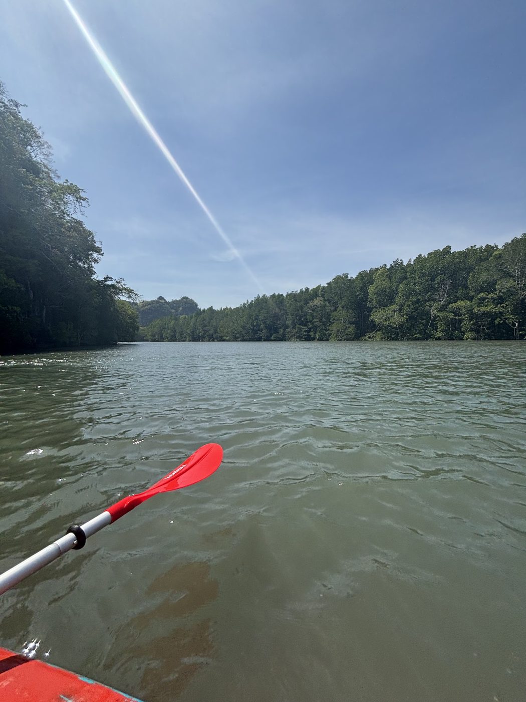 River with red paddle